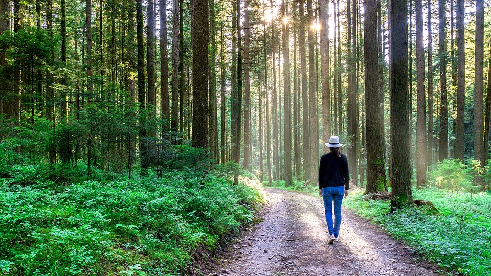 Jak je důležité zbavit se nepotřebných věcí, než se vydáme na další cestu